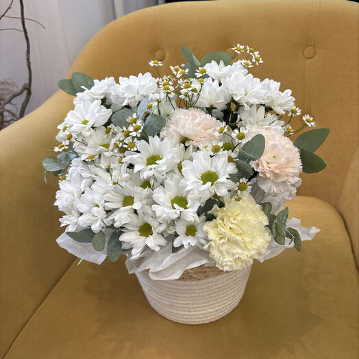 Ромашковое облако🌸
