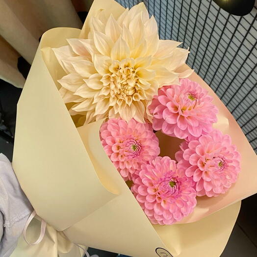 Light Dahlias