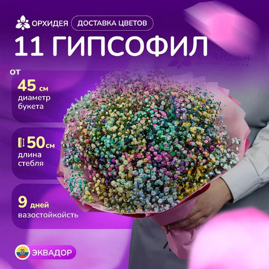 11 гипсофил радужных