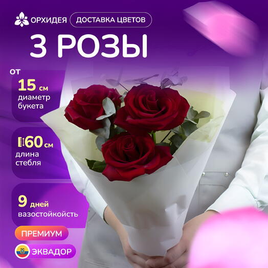 3 Розы "Эксплорер" с зеленью