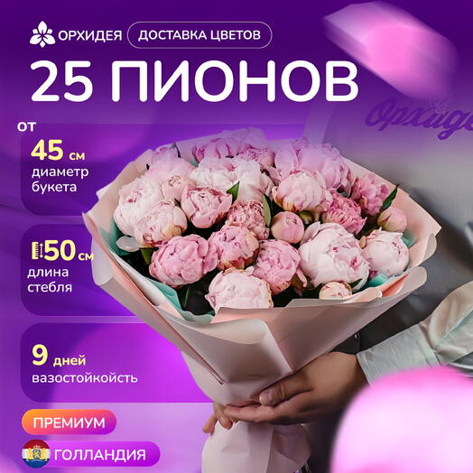 25 Пионов "Сара Бернар"