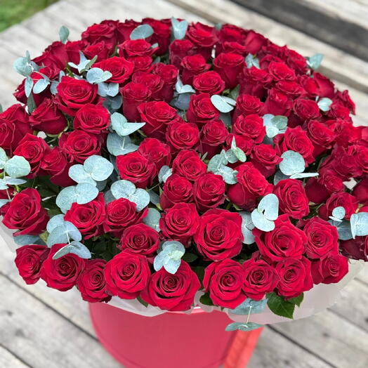 Коробка из бордовых роз с эвкалиптом