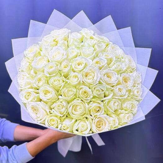 51 Роза белые розы