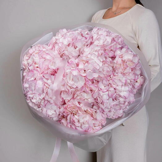 🌸Букет из нежно-розовых голландских гортензий (9 шт)🌸