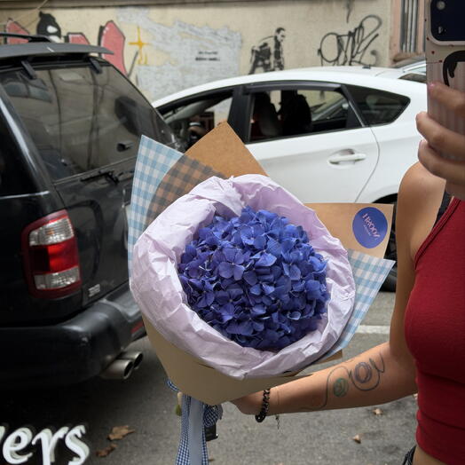 Hydrangea Blue (S)