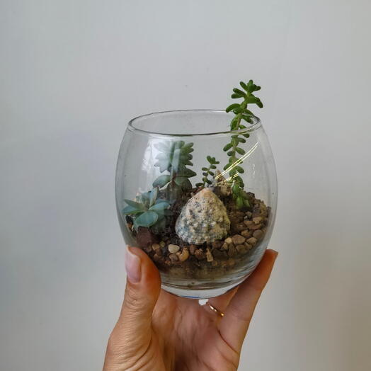 Florarium