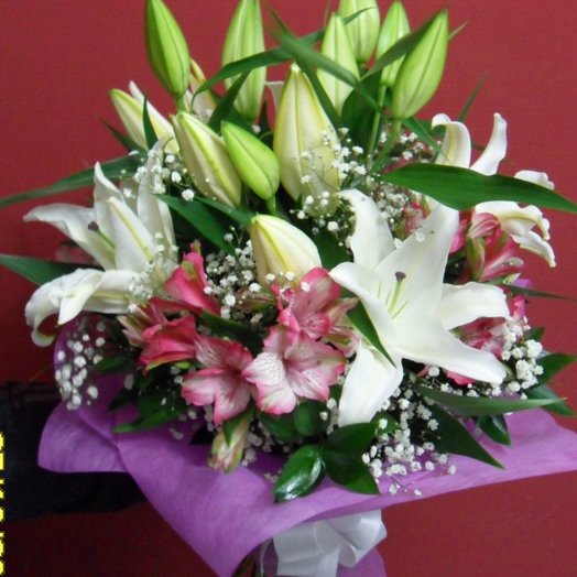 Capricho elegante
