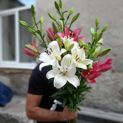Lily mix