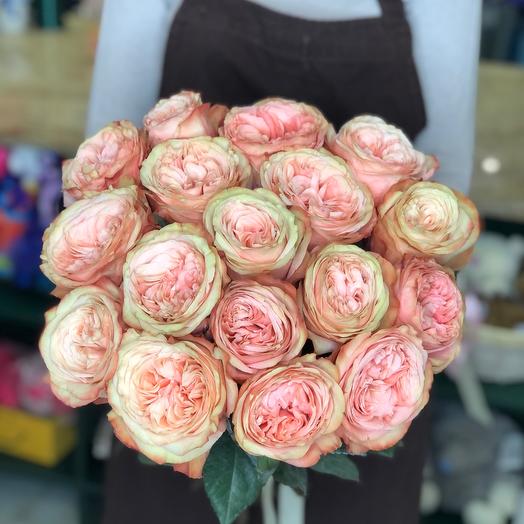 Кахала Роза пионовидная Эквадор, Flowers & Gifts Moscow, buy at a price ...