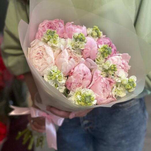 Softness