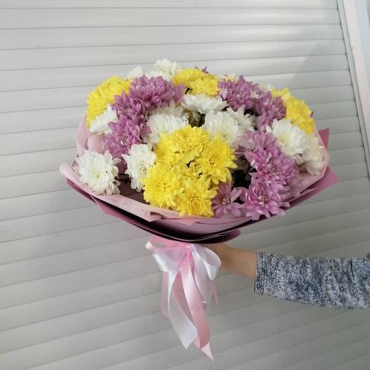 15 Хризантем кустовых