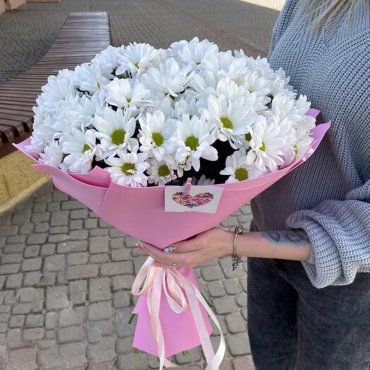 Bouquet of snow-white daisies