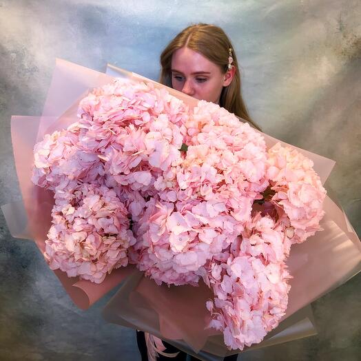 Nube de ternura de hortensias