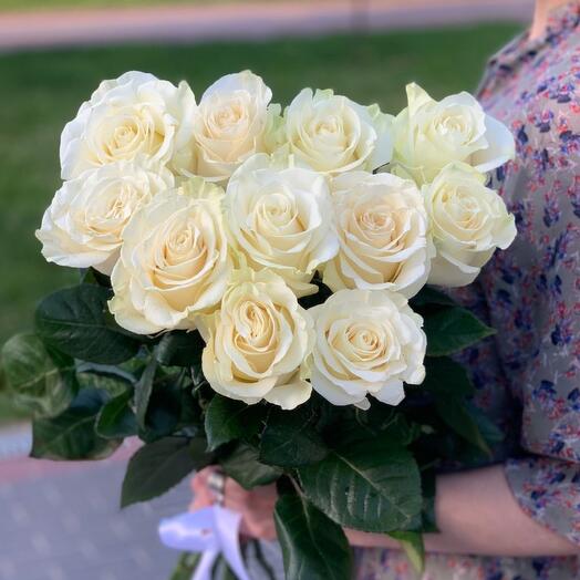 11 premium white roses