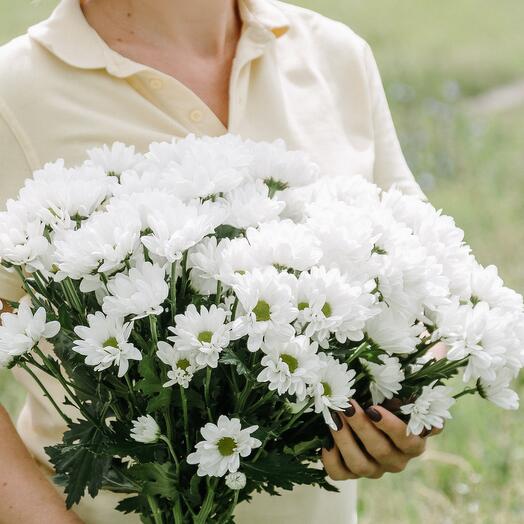 Daisies for
