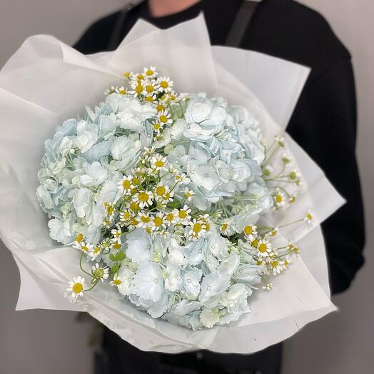 Bouquet of daisies and delicate hydrangeas mix