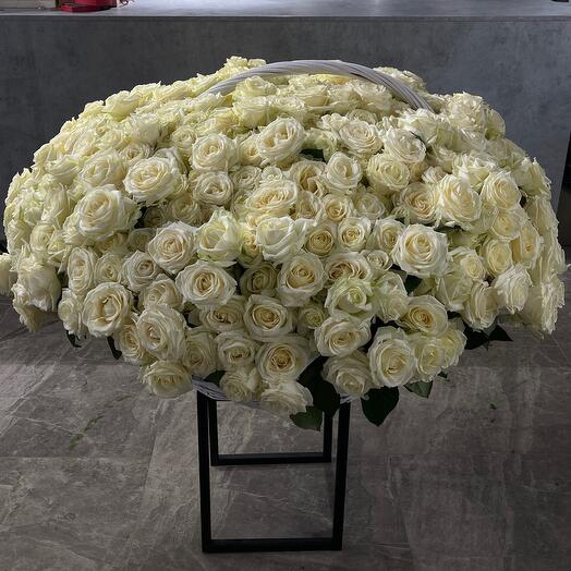 Корзина с белыми розами 501 шт