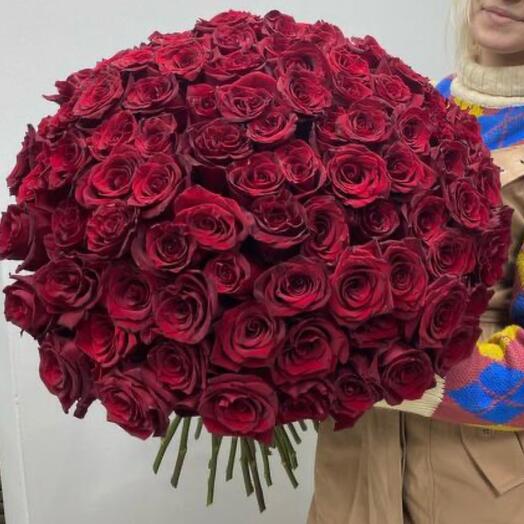 101 razones para amarte