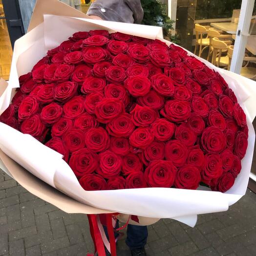Rose 101 (90cm)