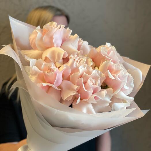 Mono of powdery pink French roses