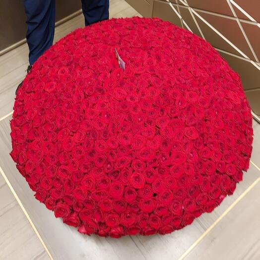 Cesta de 501 rosas 😍 🤩 
