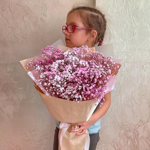 Облако розовой гипсофилы S