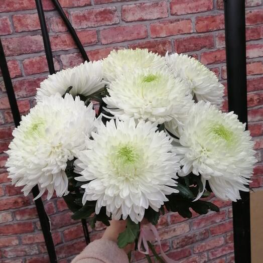 Single-headed chrysanthemum