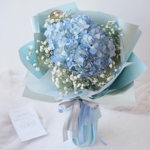 Гортензия в облаке