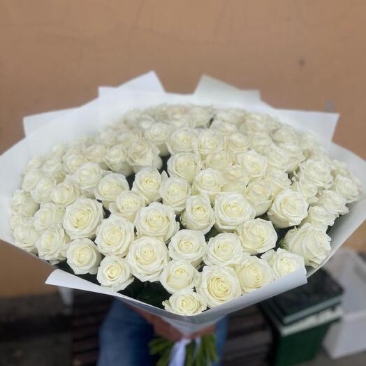 Rosas blancas 51