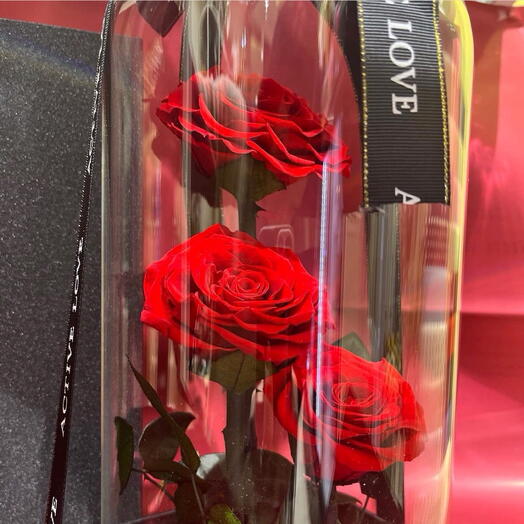 Eternal roses in glass dome
