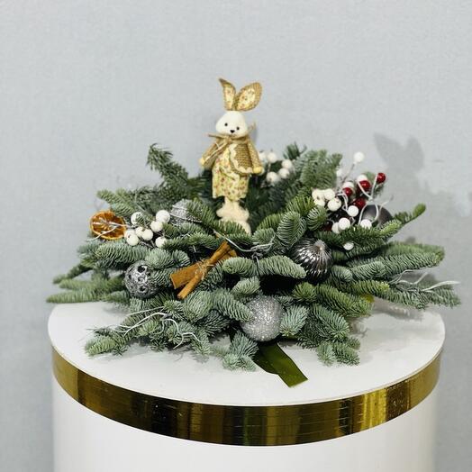 Интерьерная композиция из живой датской сосны нобилис на новый год