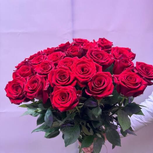 Bouquet of 25 Burgundy Ecuadorian roses