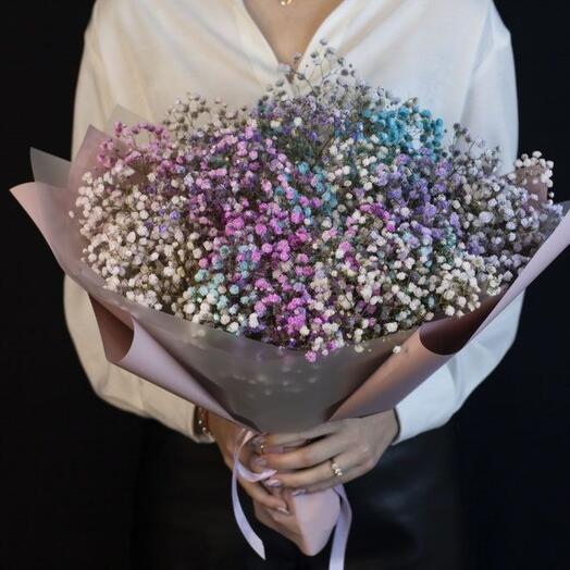 5 Rainbow Gypsophila