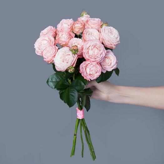 Peony-shaped roses