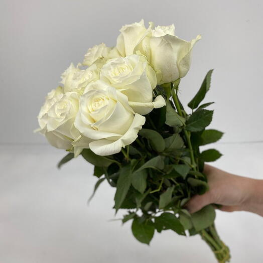 White Rose Bundle