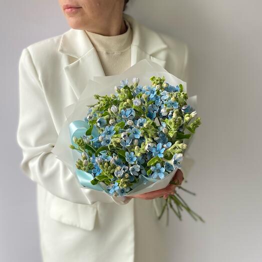 Gentle forget-me-nots