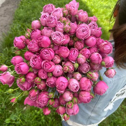 Кустовые Розы Мисти Баблсс