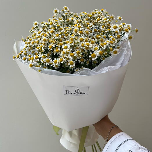 Ромашка ароматная кустовая 🌼