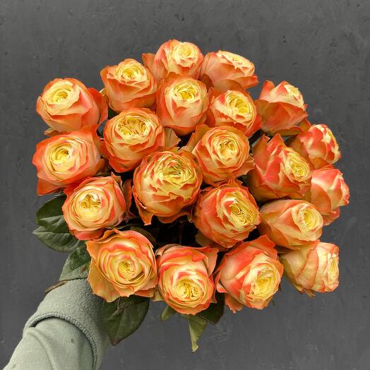 Букет из 21 пионовидной розы Карма