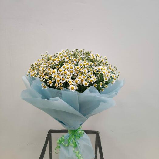 Букет из 25 ромашек
