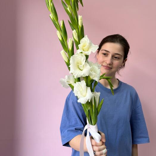 Гладиолусы 1 сентября 🫶🏻