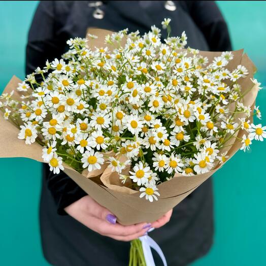 Field daisies