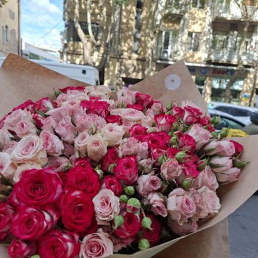 Dwarf roses