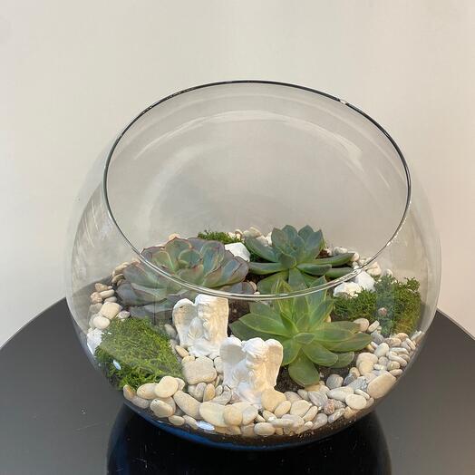 Флорариум Ангел