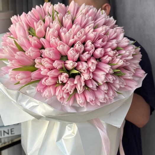 115 pink tulip