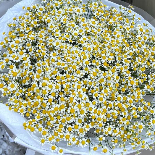 Монобукет с ромашками