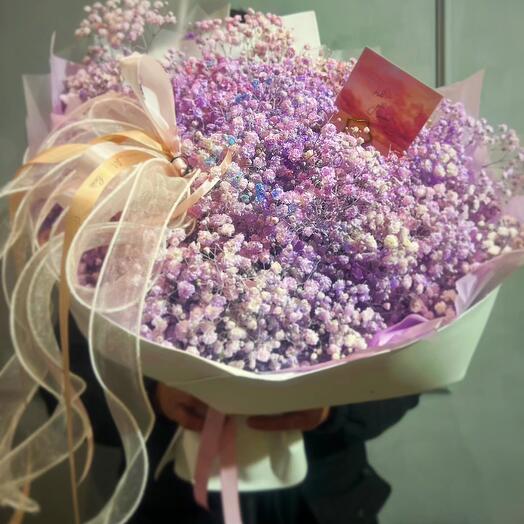 Rainbow Gypsophila