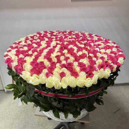 Буке из 501 розы Микс
