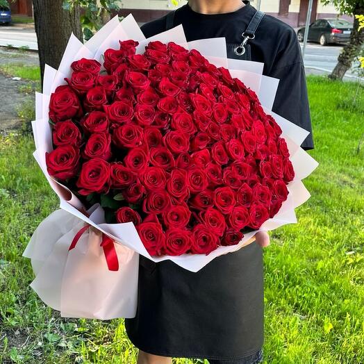 101 красная Роза Голландия