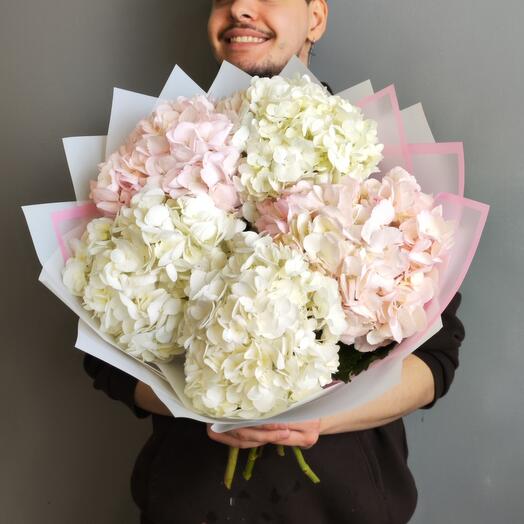 Букет- комплимент из гортензий, цвет розовый, белый, 5 штук, арт 382 Kimbirly Flowers